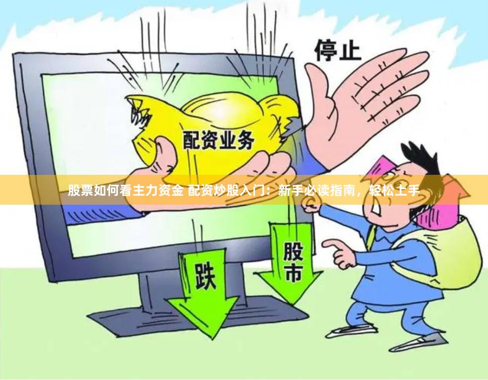 股票如何看主力资金 配资炒股入门：新手必读指南，轻松上手