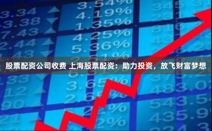 股票配资公司收费 上海股票配资：助力投资，放飞财富梦想