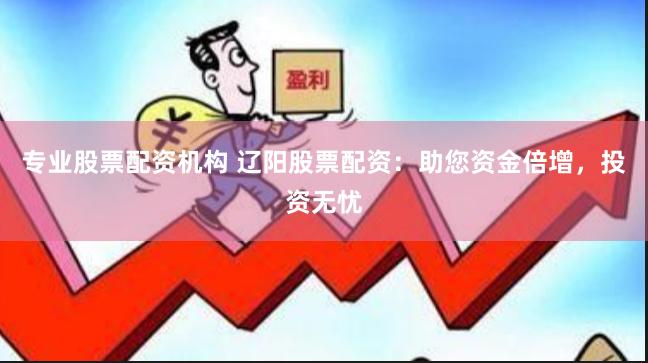 专业股票配资机构 辽阳股票配资：助您资金倍增，投资无忧